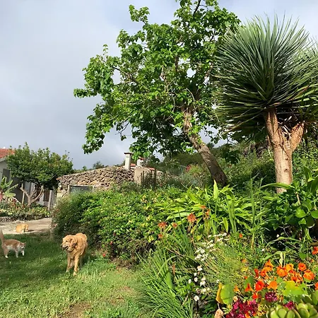 Casa Jardin Maravilla Apartment
