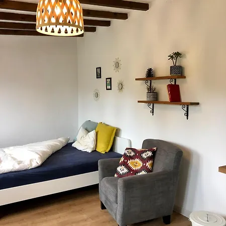 Casa Jardin Maravilla Apartment San Juan del Reparo