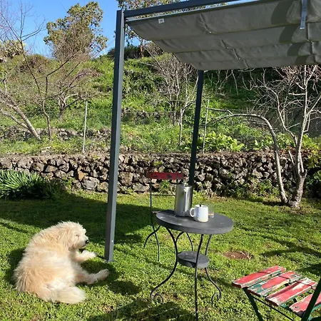 Casa Jardin Maravilla Lejlighed San Juan del Reparo